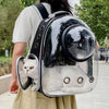 Mochila Transparente Transportadora para Gatos