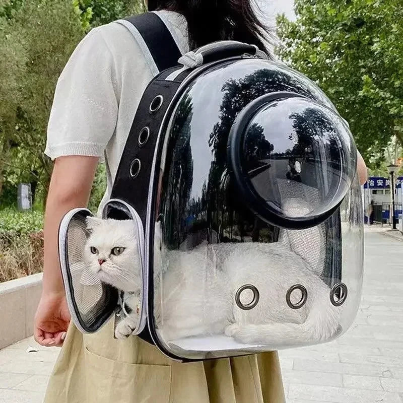 Mochila Transparente Transportadora para Gatos