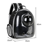 Mochila Transparente Transportadora para Gatos