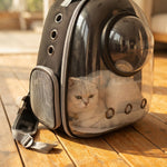 Mochila Transparente Transportadora para Gatos